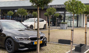 P. Verkuylen - Media